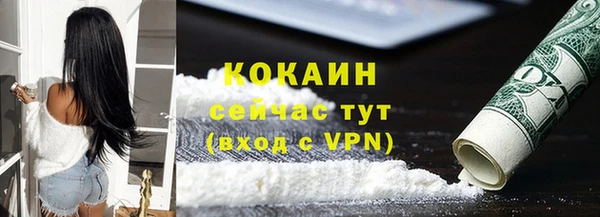 прущие крисы Ельня