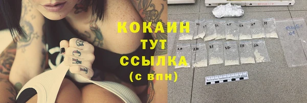 прущие крисы Ельня