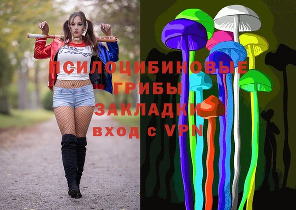 прущие крисы Ельня
