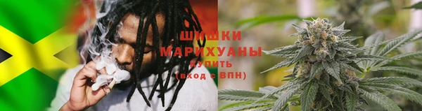 прущие крисы Ельня