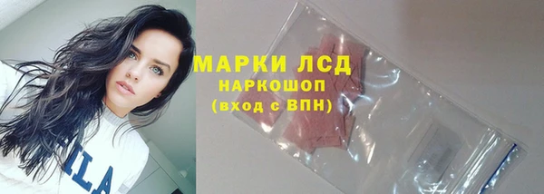 прущие крисы Ельня