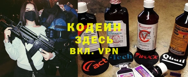 ешки Елабуга