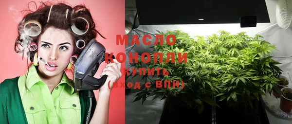 прущие крисы Ельня
