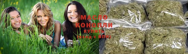 ешки Елабуга