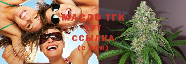 прущие крисы Ельня