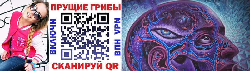 Купить где  Салехард  Псилоцибиновые грибы MAGIC MUSHROOMS 